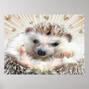 Igel Liebe Poster