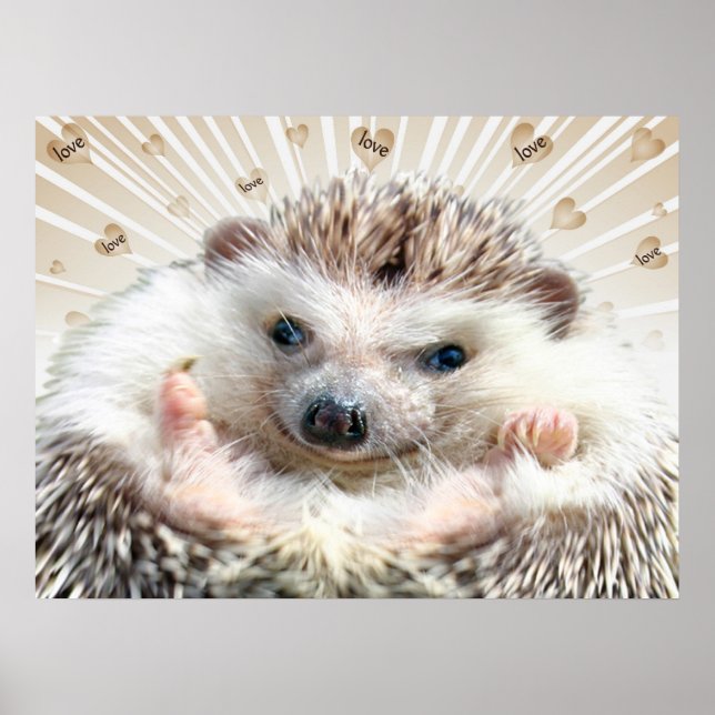 Igel Liebe Poster (Vorne)