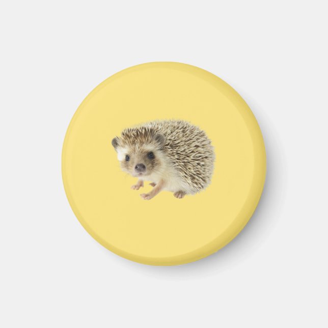 Igel Magnet (Vorne)