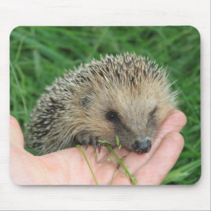 Igel Mousepad