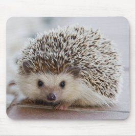 Igel Mousepad