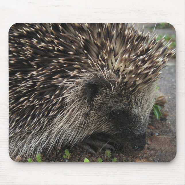Igel Mousepad (Vorne)