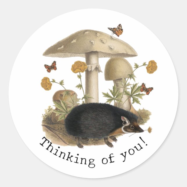 Igel Mushroom Woodland Runder Aufkleber (Vorderseite)