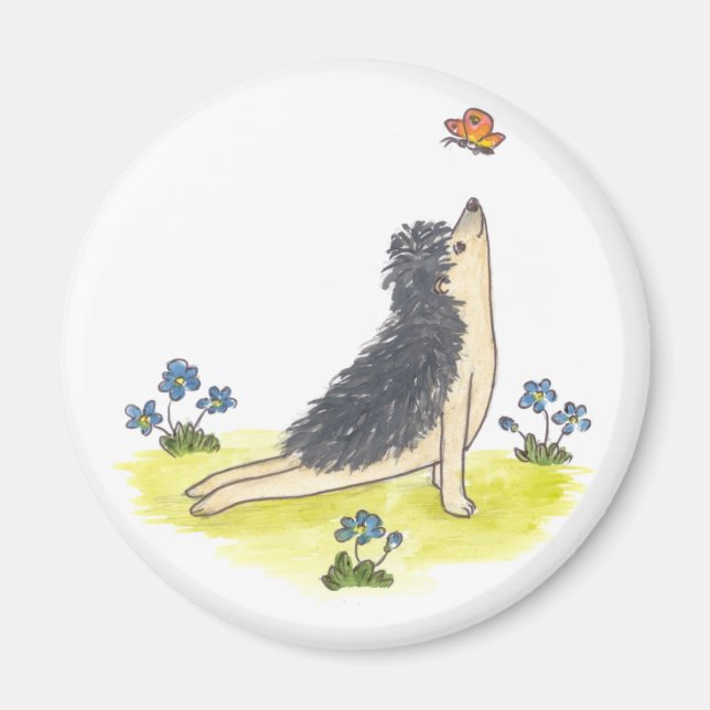 Igel nach oben gegenüber Hund Magnet (Vorne)