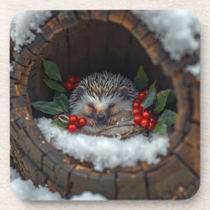 Igel niedlicher Winterglück Getränkeuntersetzer