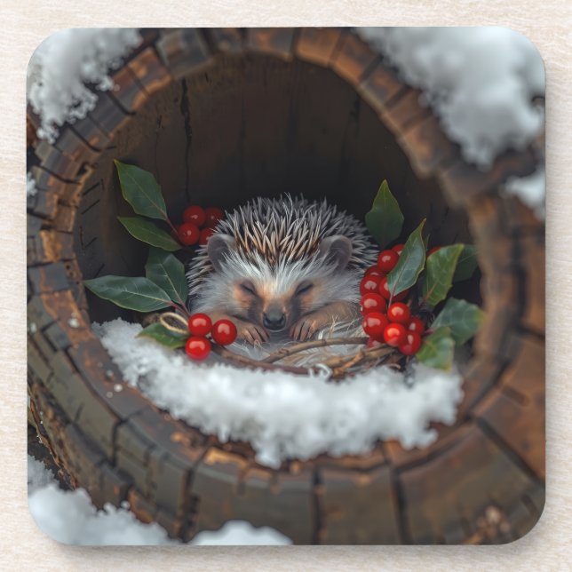 Igel niedlicher Winterglück Getränkeuntersetzer (Vorderseite)