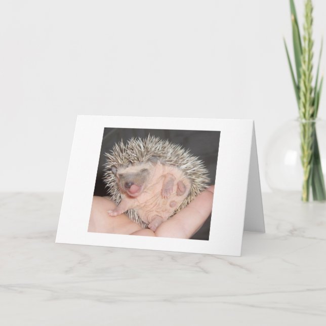 Igel Notecard Karte (Vorderseite)