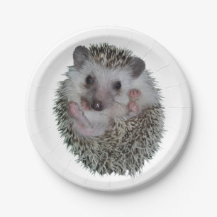 Igel Pappteller