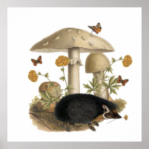 Igel-Pilz-Botanische Illustrations-Collage Poster
