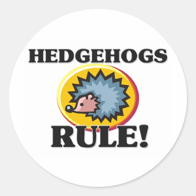 IGEL Regel! Runder Aufkleber (Vorderseite)