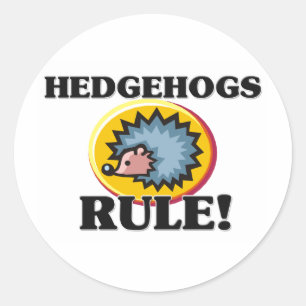 IGEL Regel! Runder Aufkleber
