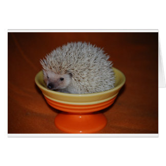 Igel Sundae