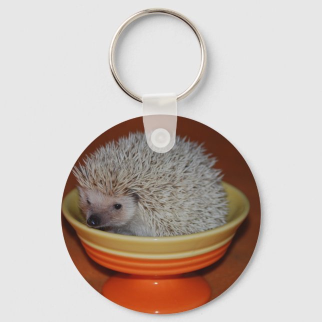 Igel Sundae Schlüsselanhänger (Vorderseite)