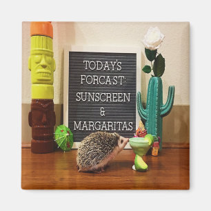 Igel Sunscreen und Margaritas Magnet