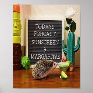 Igel Sunscreen und Margaritas Poster