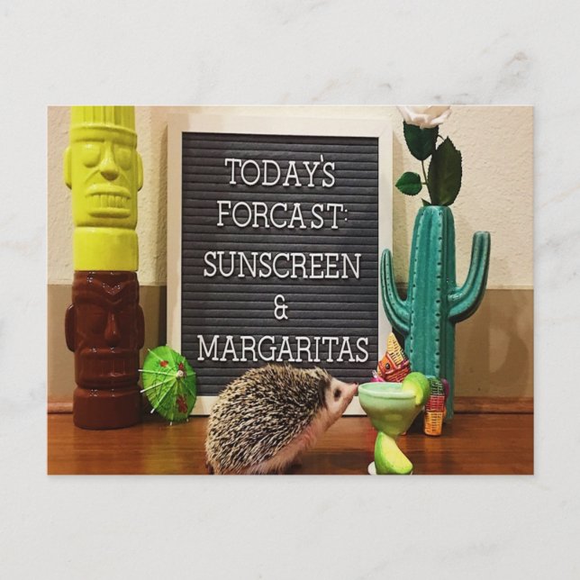 Igel Sunscreen und Margaritas Postkarte (Vorderseite)