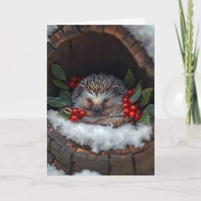 Igel süße Winterfreude Karte (Vorderseite)