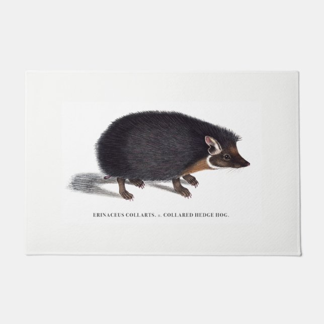 Igel-Türmatte Fußmatte (Vorderseite)