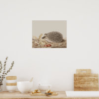 Igel von Giovanna Garzoni