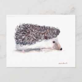 Igel wild lebender Tiere Postkarte