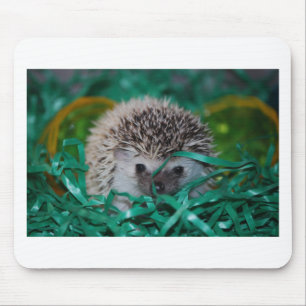 Igels-Baby in Ostern-Gras Mousepad