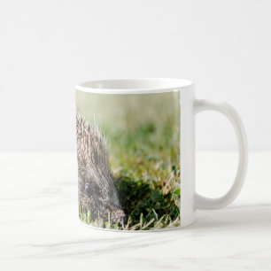 Igels-Tasse Kaffeetasse