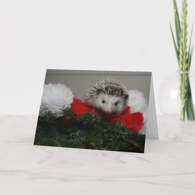 Igels-Weihnachtskarte Feiertagskarte (Vorderseite)