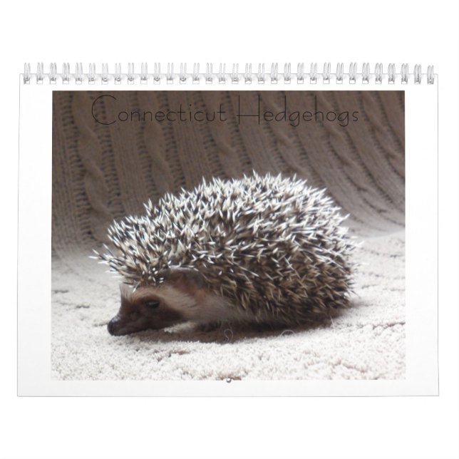 Igelsbabykalender 3 kalender (Titelbild)