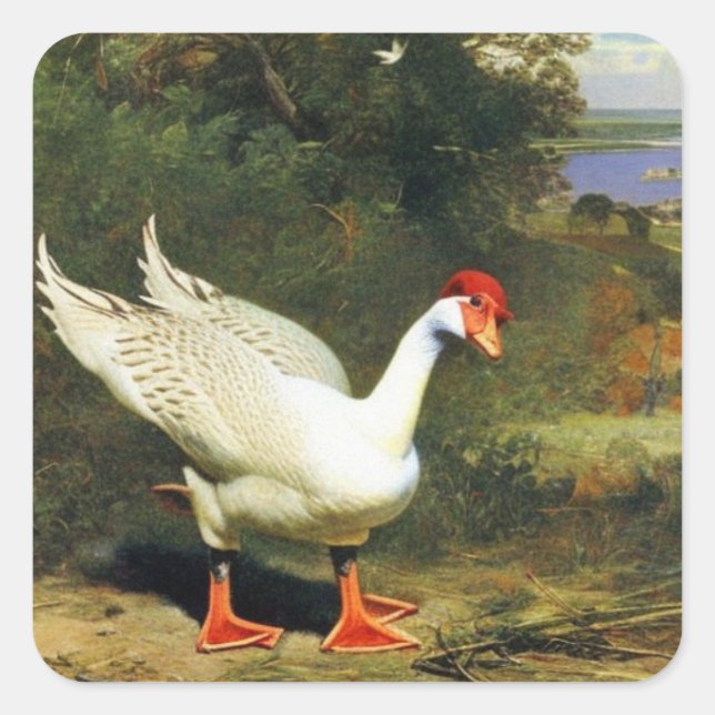 IGF-Aufkleber Quadratischer Aufkleber (Vorderseite)