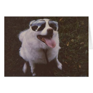 Igie durch friedwild