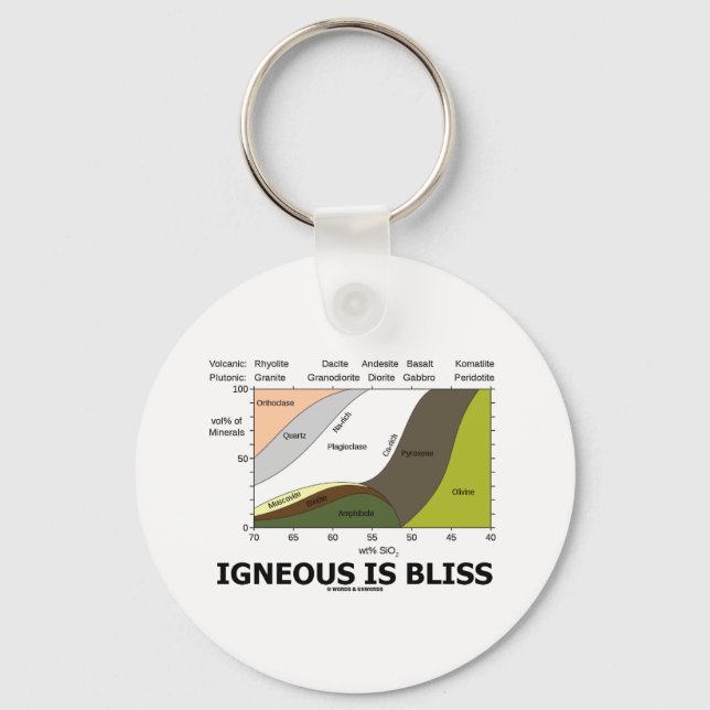 Igneous ist Bliss (Geologie Ignoranz ist Bliss) Schlüsselanhänger (Vorderseite)