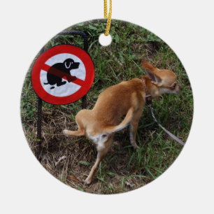 Ignoranz ist Bliss Keramik Ornament