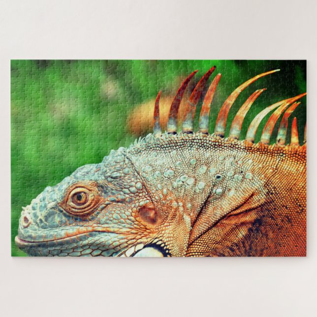 Iguana (Horizontal)