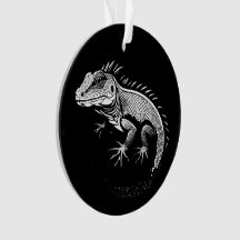 Iguana