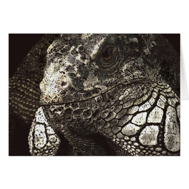 Iguana (Vorderseite (Horizontal))