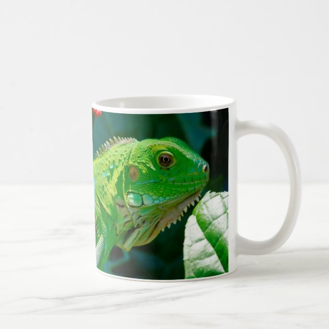 Iguana 1 Tasse (Rechts)