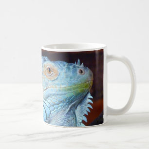 Iguana 2 Tasse