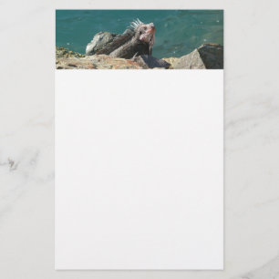 Iguana bei St. Thomas Briefpapier