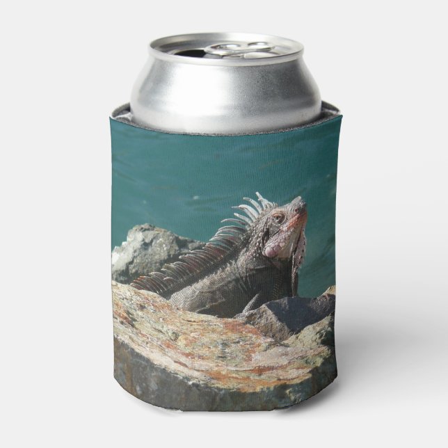 Iguana bei St. Thomas Dosenkühler (Kanne Vorderseite)