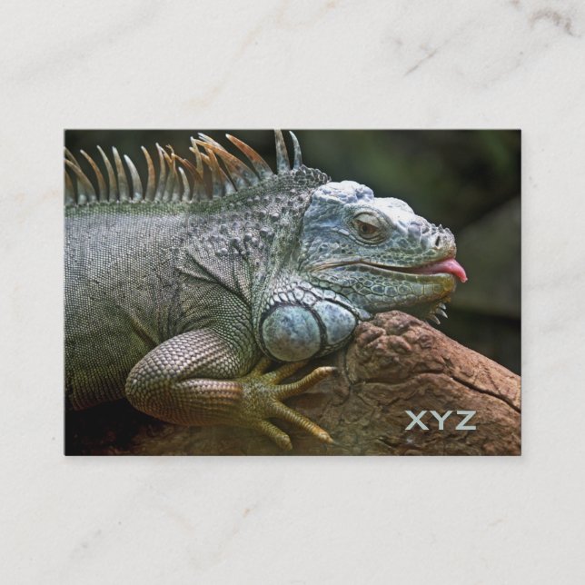 Iguana benutzerdefinierte Visitenkarten Visitenkarte (Vorderseite)