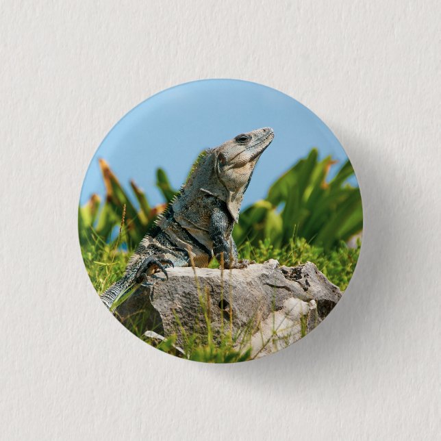 Iguana Button (Vorderseite)