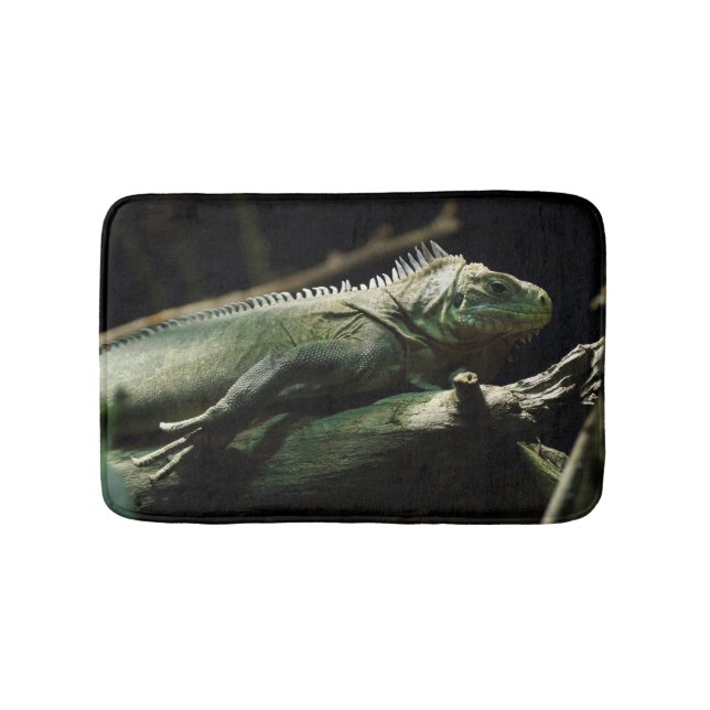 Iguana delicatissima badematte (Vorderseite)