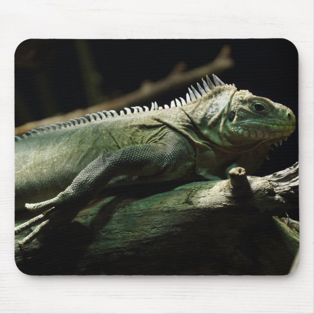 Iguana delicatissima mousepad (Vorne)