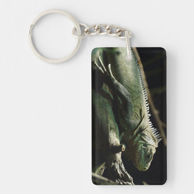 Iguana delicatissima schlüsselanhänger (Vorderseite)