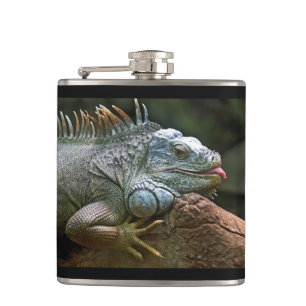 Iguana-Flasche Flachmann