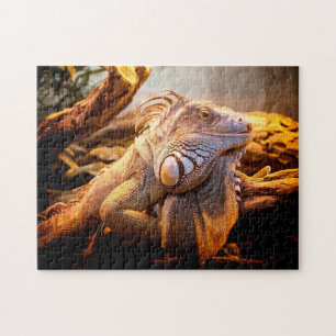 Iguana Head Close up, Jigsaw Puzzle