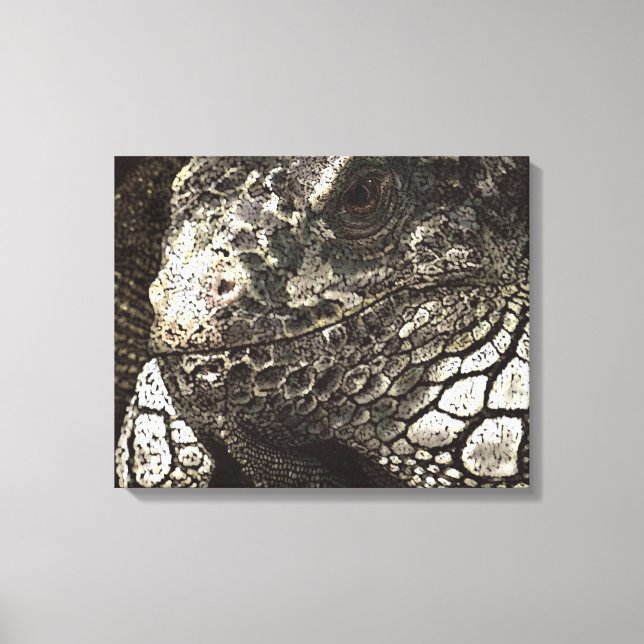 Iguana Leinwanddruck (Vorderseite)