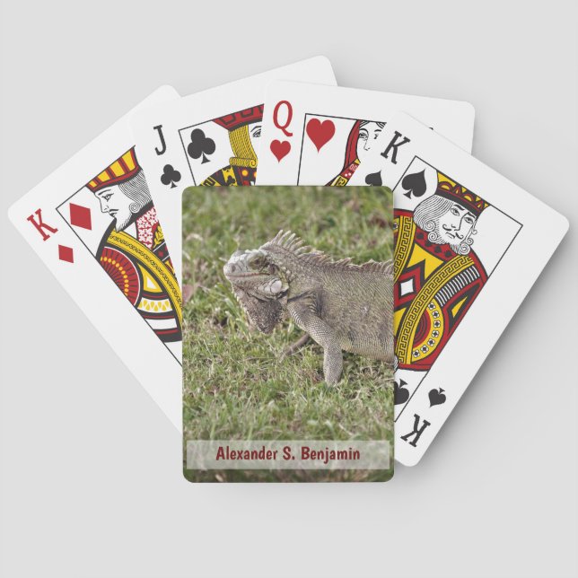 Iguana Lizzard Tier Natur personalisieren Spielkarten (Rückseite)
