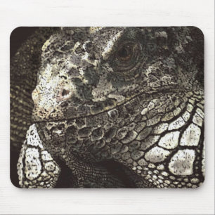 Iguana Mousepad