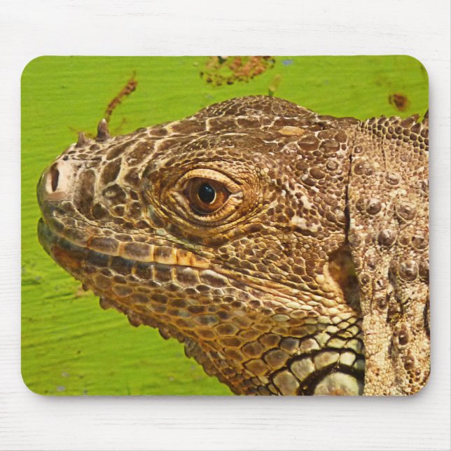 IGUANA MOUSEPAD (Vorne)